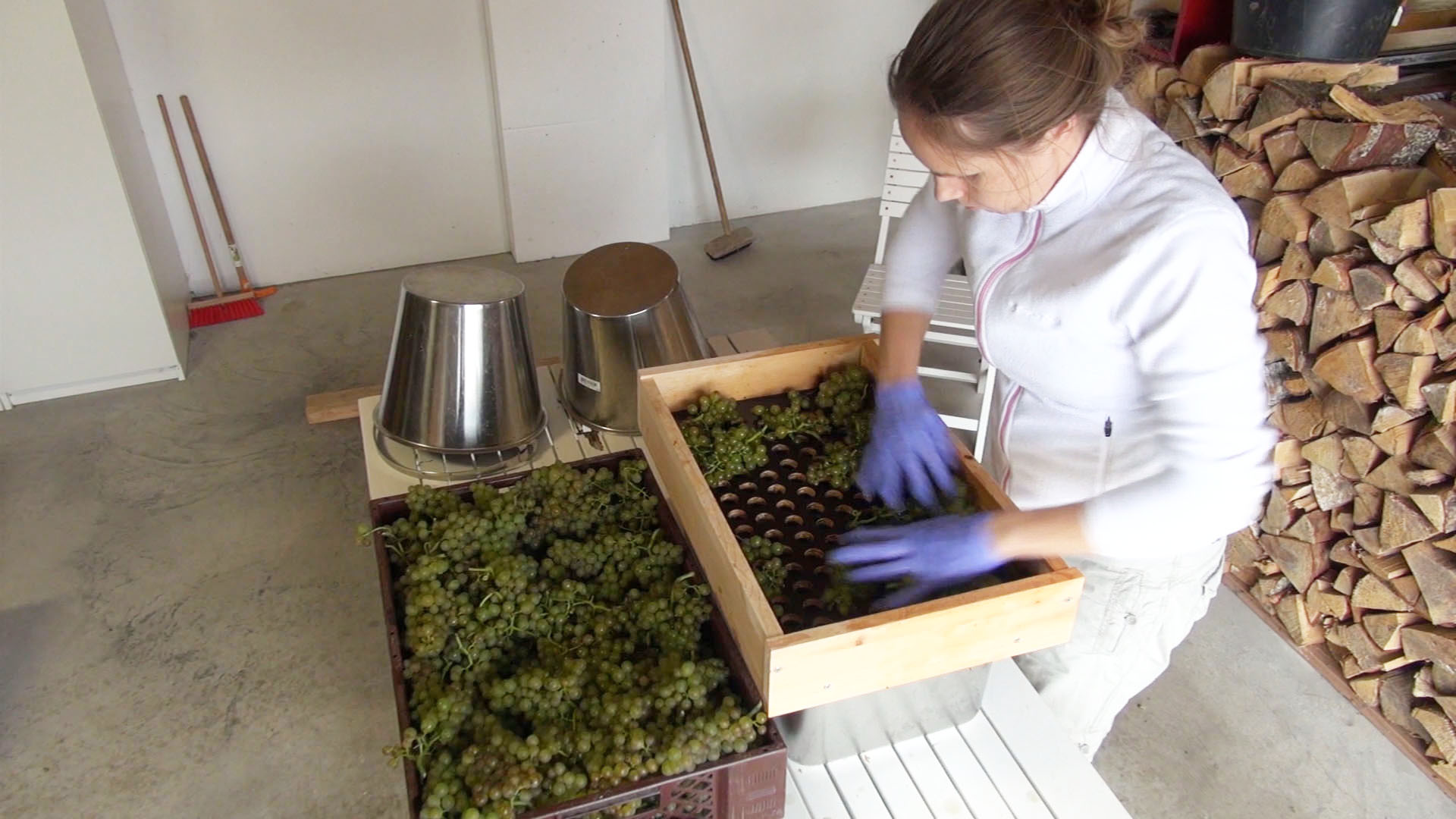 Wine Makings
